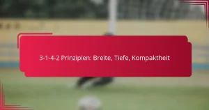 Read more about the article 3-1-4-2 Prinzipien: Breite, Tiefe, Kompaktheit