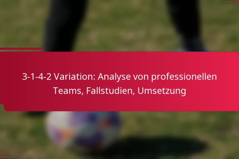 3-1-4-2 Variation: Analyse von professionellen Teams, Fallstudien, Umsetzung