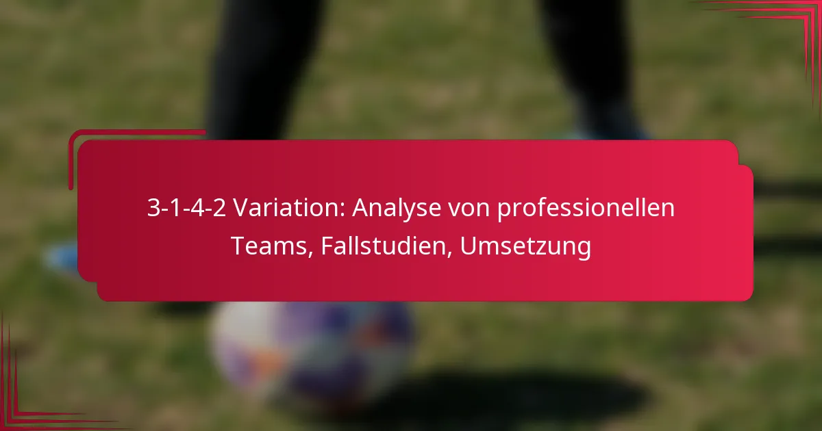 Read more about the article 3-1-4-2 Variation: Analyse von professionellen Teams, Fallstudien, Umsetzung