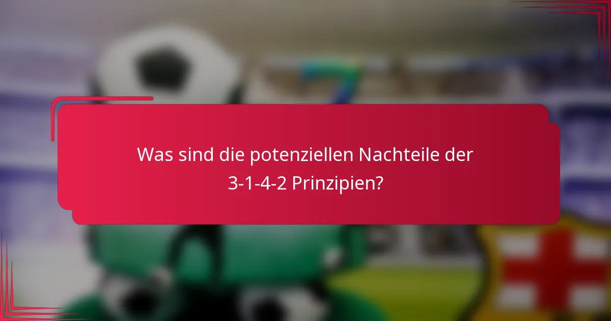 Was sind die potenziellen Nachteile der 3-1-4-2 Prinzipien?