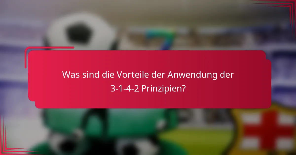 Was sind die Vorteile der Anwendung der 3-1-4-2 Prinzipien?