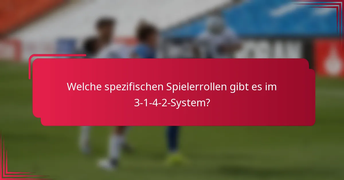 Welche spezifischen Spielerrollen gibt es im 3-1-4-2-System?