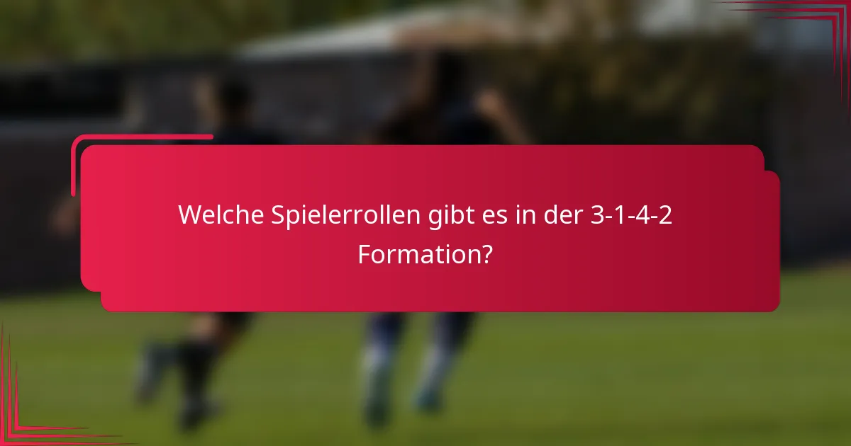 Welche Spielerrollen gibt es in der 3-1-4-2 Formation?