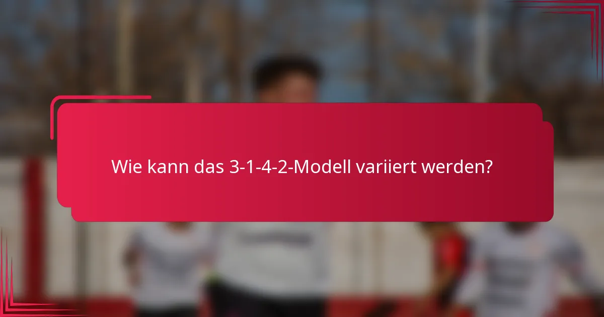 Wie kann das 3-1-4-2-Modell variiert werden?
