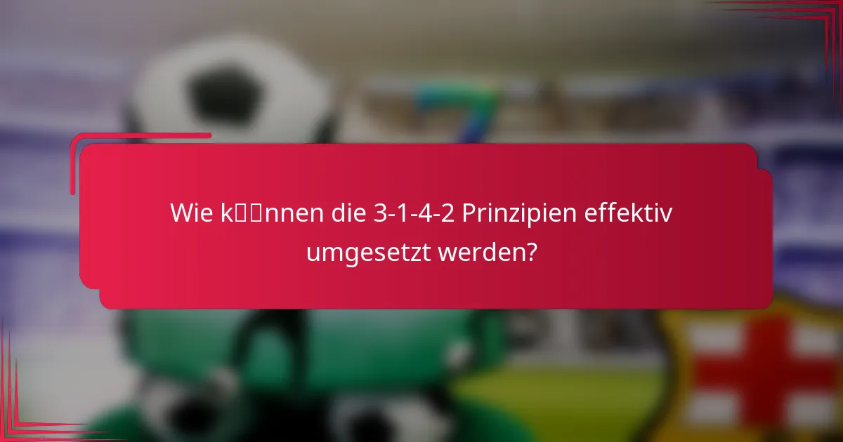 Wie können die 3-1-4-2 Prinzipien effektiv umgesetzt werden?