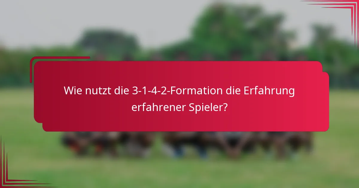Wie nutzt die 3-1-4-2-Formation die Erfahrung erfahrener Spieler?
