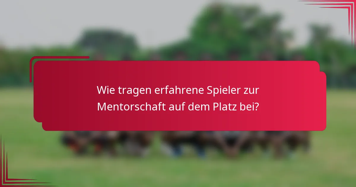 Wie tragen erfahrene Spieler zur Mentorschaft auf dem Platz bei?